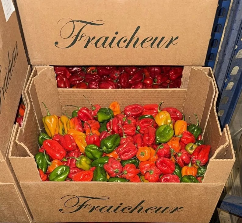 Fantas Afro corner - Paprika in Farben